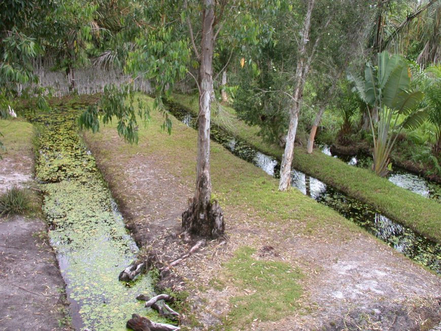 jardin à l'arrière et canaux