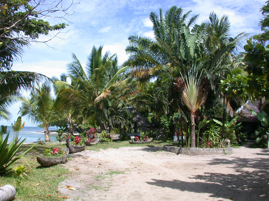 Le cadre à La Pirogue