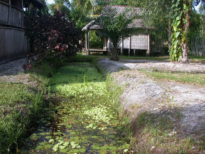 l'arrière et la maison du gardien