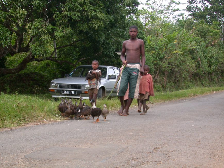 Sur la route de Vavatenina