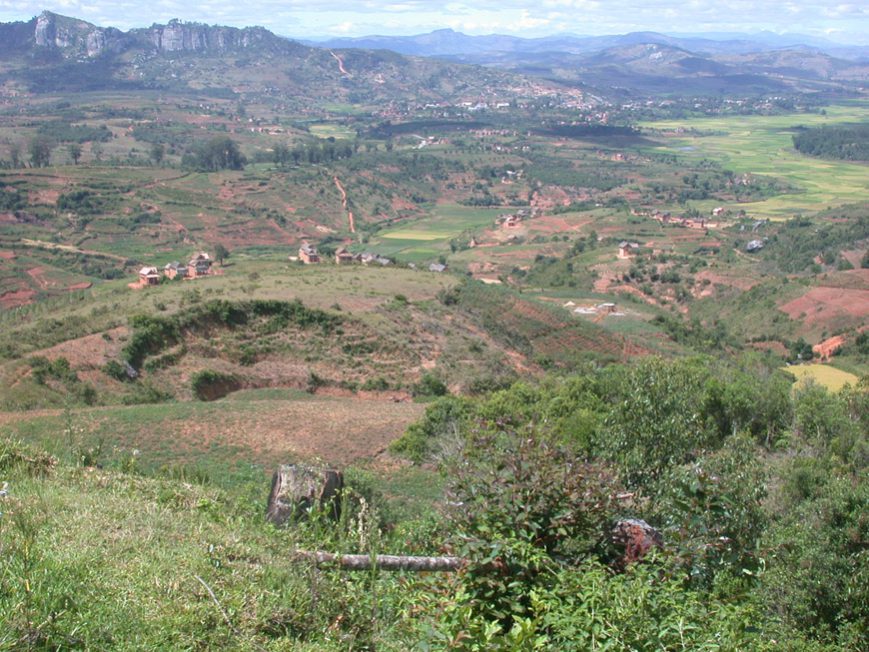 Paysage vu du train Manakara-Fianarantsoa