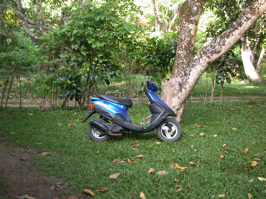 scooter bleu chez Véro