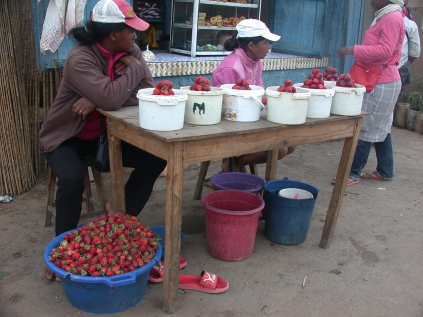 Fraises le long de la route