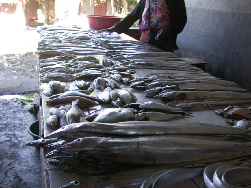 poissons au marché