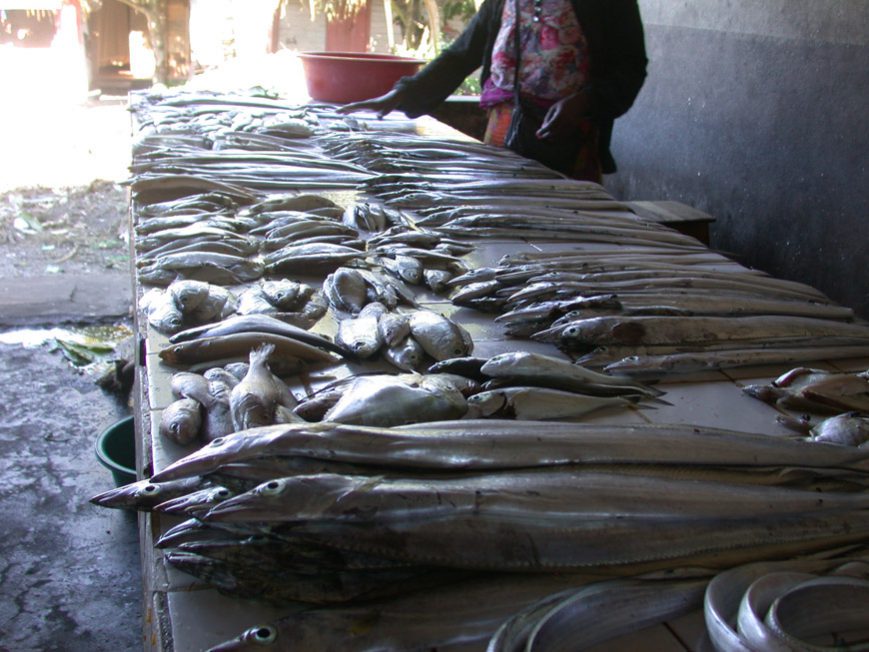 poissons au marché